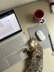 WFH Bareng Hewan Peliharaan: Mood Naik dan Kerja Jadi Lebih Produktif