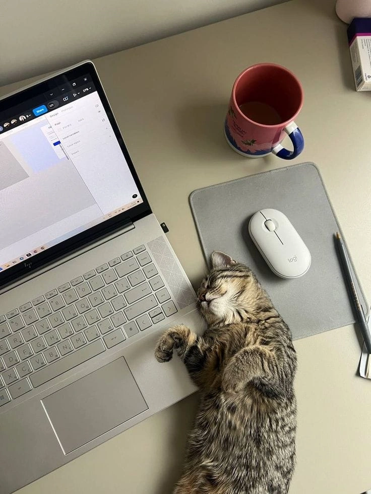 WFH Bareng Hewan Peliharaan: Mood Naik dan Kerja Jadi Lebih Produktif